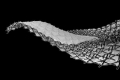 webam_research_03_aa_hybgrid_am_tn03.jpg