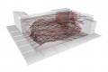 webam_arch_04_on_jyvaskyla_am_tn03.jpg