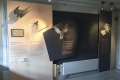 2016_Oslo_biomimicry_2