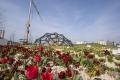 Sommerinsel-meets-Bionikc-BUGA-Heilbronn-2019-GmbH