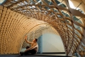 webam_research_09_gsd_woodlattice_am_tn06.jpg