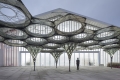 ICD_Web_ElytraPavilion_WAIC_01b