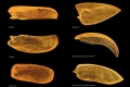 ICD-ITKE_RP13-14_Process04.JPG