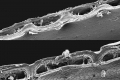 ICD-ITKE_RP13-14_Process06.JPG