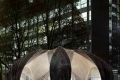icd-itke_rp2012_rh_10.jpg