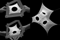 icd_ent_evolving-systems_project1_1