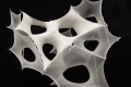 icd_ent_evolving-systems_project1_3