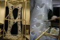 icd_ent_evolving-systems_project1_5
