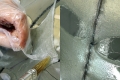icd_ent_evolving-systems_project3_3.jpg