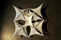 icd_ent_evolving-systems_project2_1.jpg