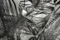 folie6