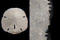 process_01.jpg
