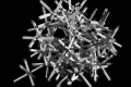 webam_research_04_aa_despartaggregates01_am_tn01.jpg