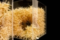 webam_research_04_aa_despartaggregates01_am_tn09.jpg