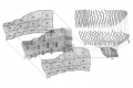 webam_research_04_aa_honeycomb_am_tn02.jpg