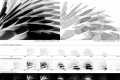 webam_research_05_aa_photolepidote_am_tn02.jpg
