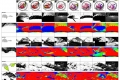 webam_research_05_aa_photolepidote_am_tn03.jpg