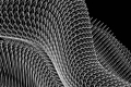 webam_research_05_aa_photolepidote_am_tn04.jpg