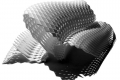 webam_research_05_aa_photolepidote_am_tn06.jpg