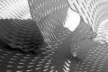 webam_research_05_aa_photolepidote_am_tn07.jpg