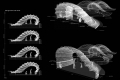 webam_research_04_aa_pneushelter_am_tn04.jpg