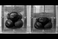 webam_research_06_aa_porouscast_am_tn01.jpg