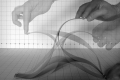 webam_research_05_aa_stripmorph_am_tn01.jpg