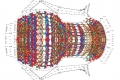webam_research_05_aa_stripmorph_am_tn04.jpg