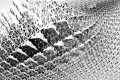 webam_research_06_aa_transmorph_am_tn09.jpg