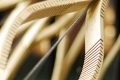 WebAM_Research_10_GSD_Kerfing_AM_TN11.JPG