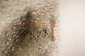 webam_research_07_hfg_gatheringcomp_am_tn04.jpg