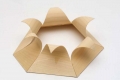 webam_research_08_hfg_respsurfii_am_tn01.jpg