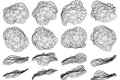 webam_research_08_hfg_respsurfii_am_tn03.jpg