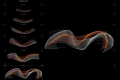 webam_research_03_mde01_am_tn01.jpg