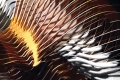 webam_research_03_mde01_am_tn05.jpg
