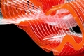 webam_research_03_mde01_am_tn06.jpg