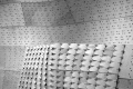 webam_research_04_rice_metapatch_am_tn04.jpg