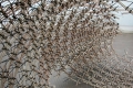 webam_research_04_rice_strutlattice_am_tn08.jpg