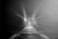 webam_research_05_rotterd_membkin_am_03.jpg