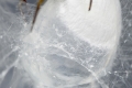 Web_Process02.jpg