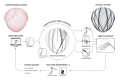 Web_Process09.jpg